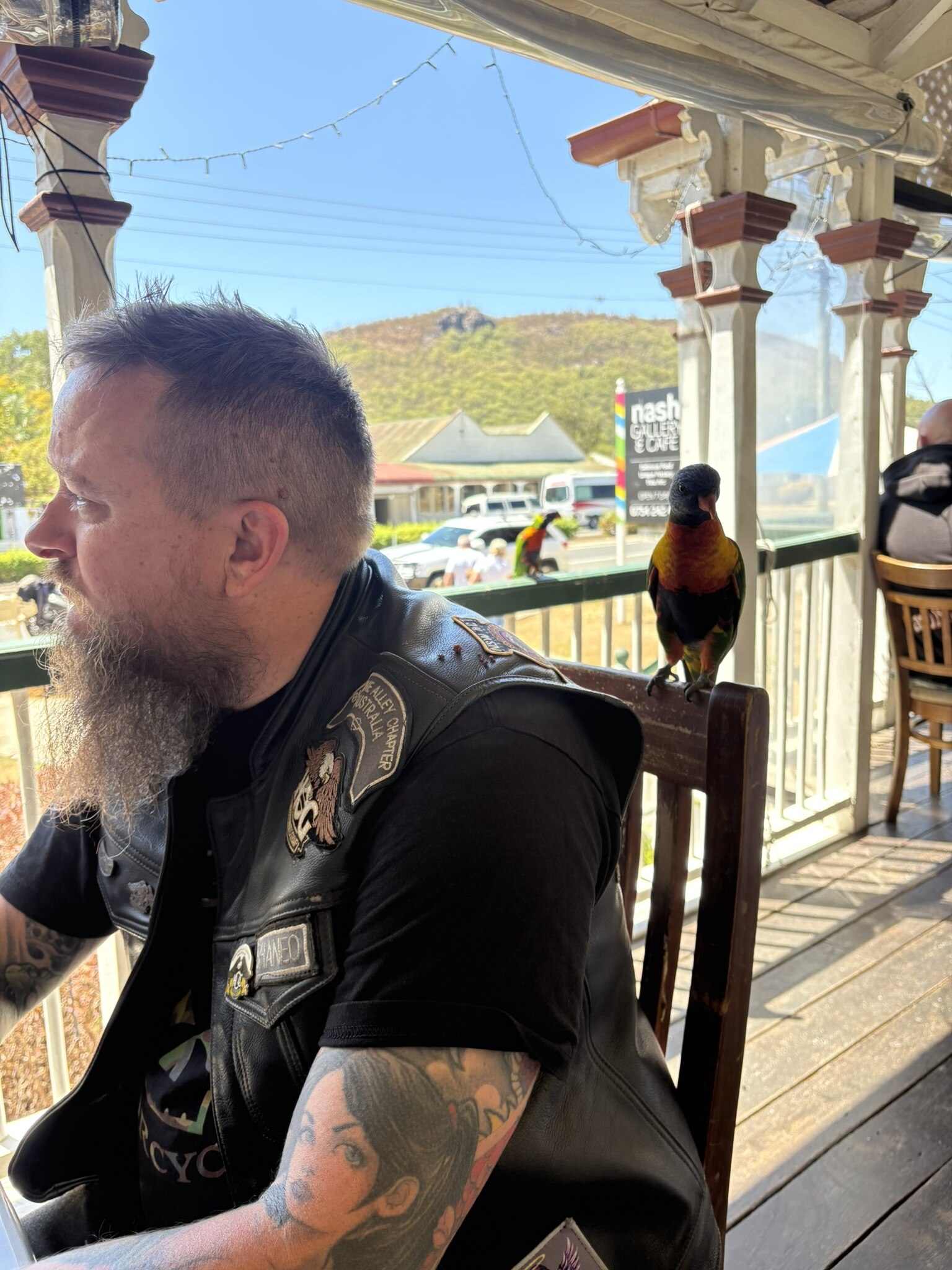 Morning tea in Esk with a lorikeet stopping by