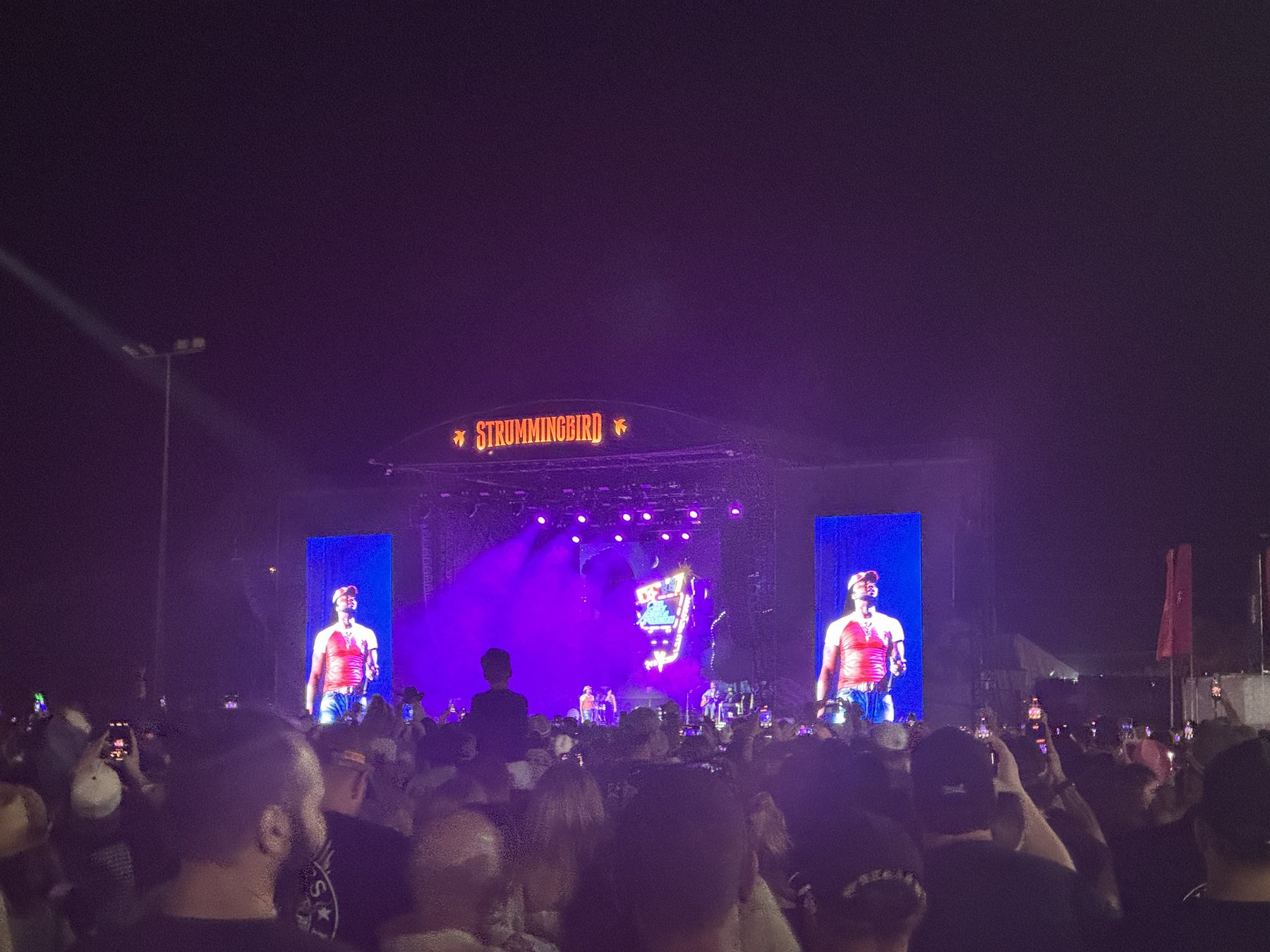 The Strummingbird main stage and crowd under purple lights at night