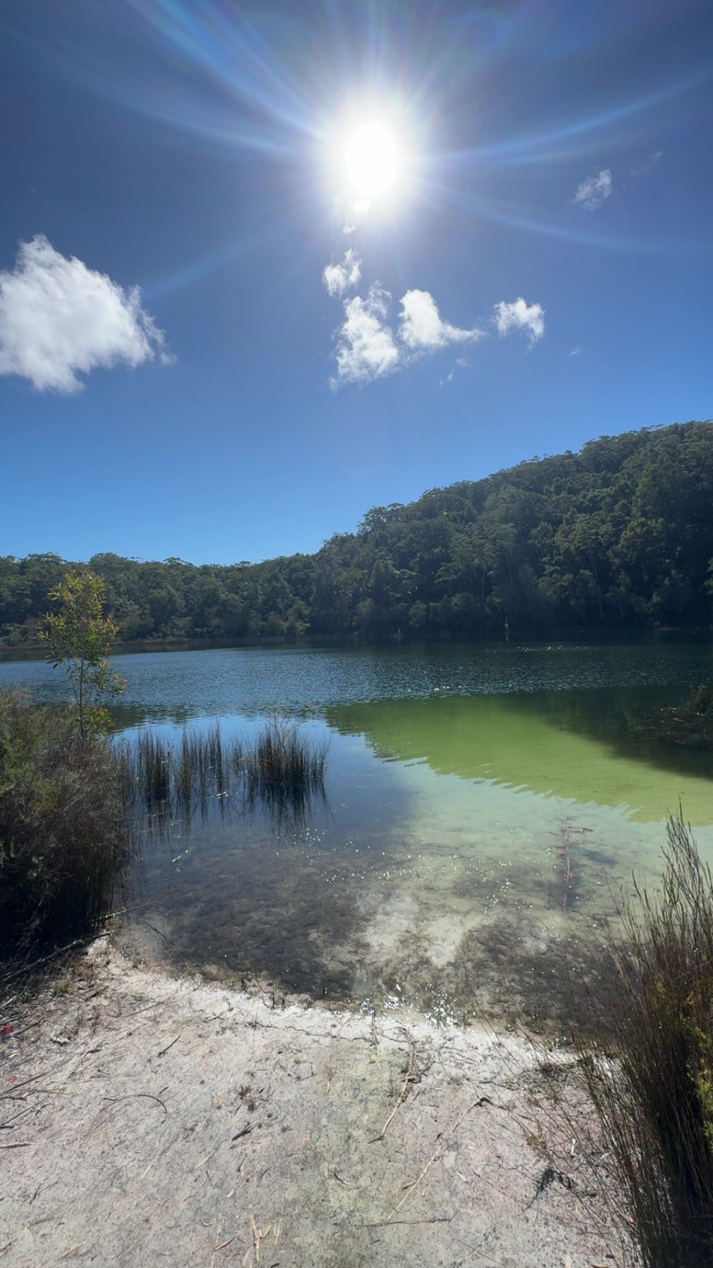 Clear shallow water at Basin Lake on K'gari.