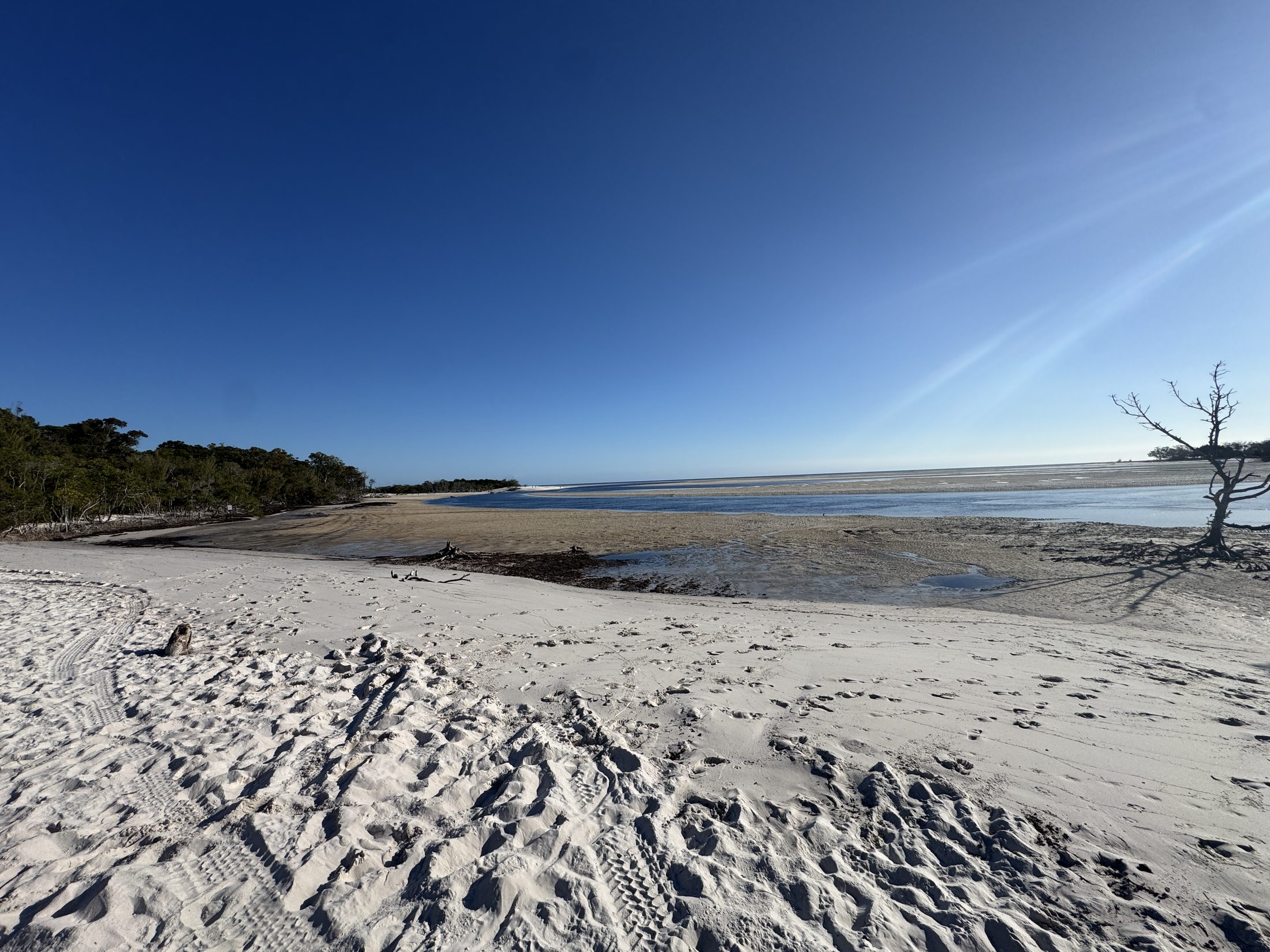 Wide northern K'gari beach with clear sky.