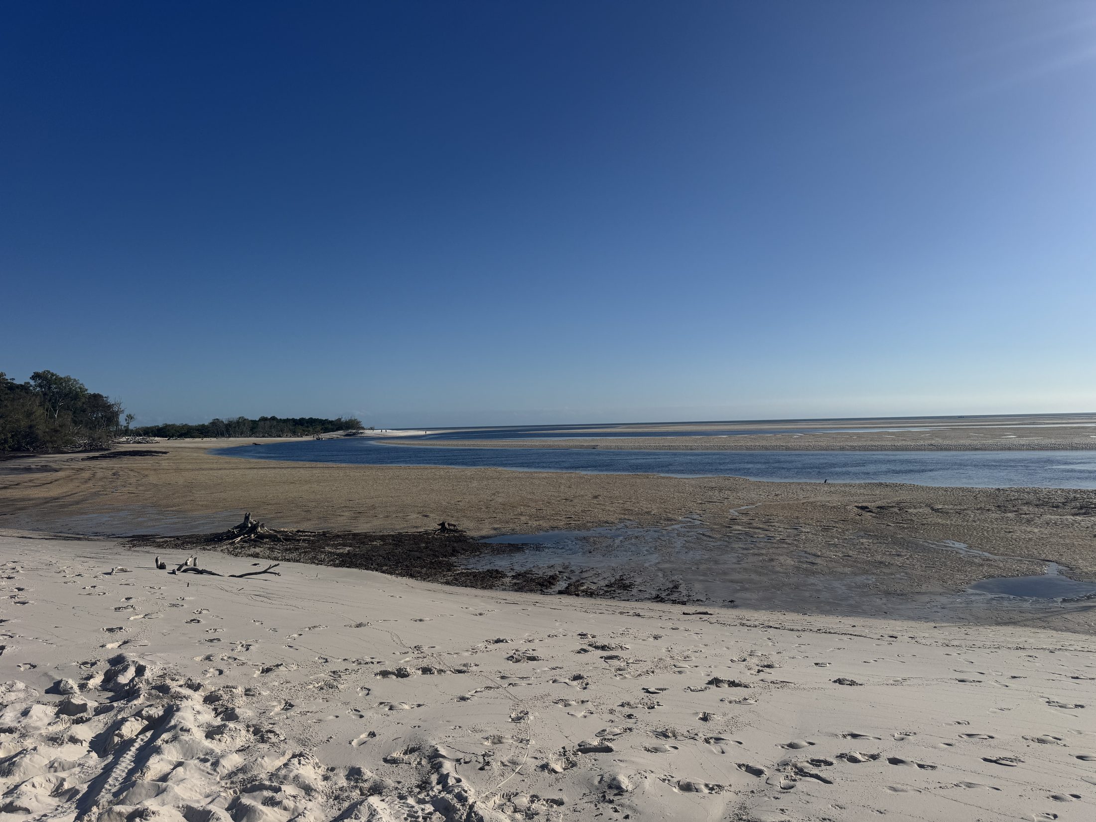 Northern K'gari beach and tidal water.