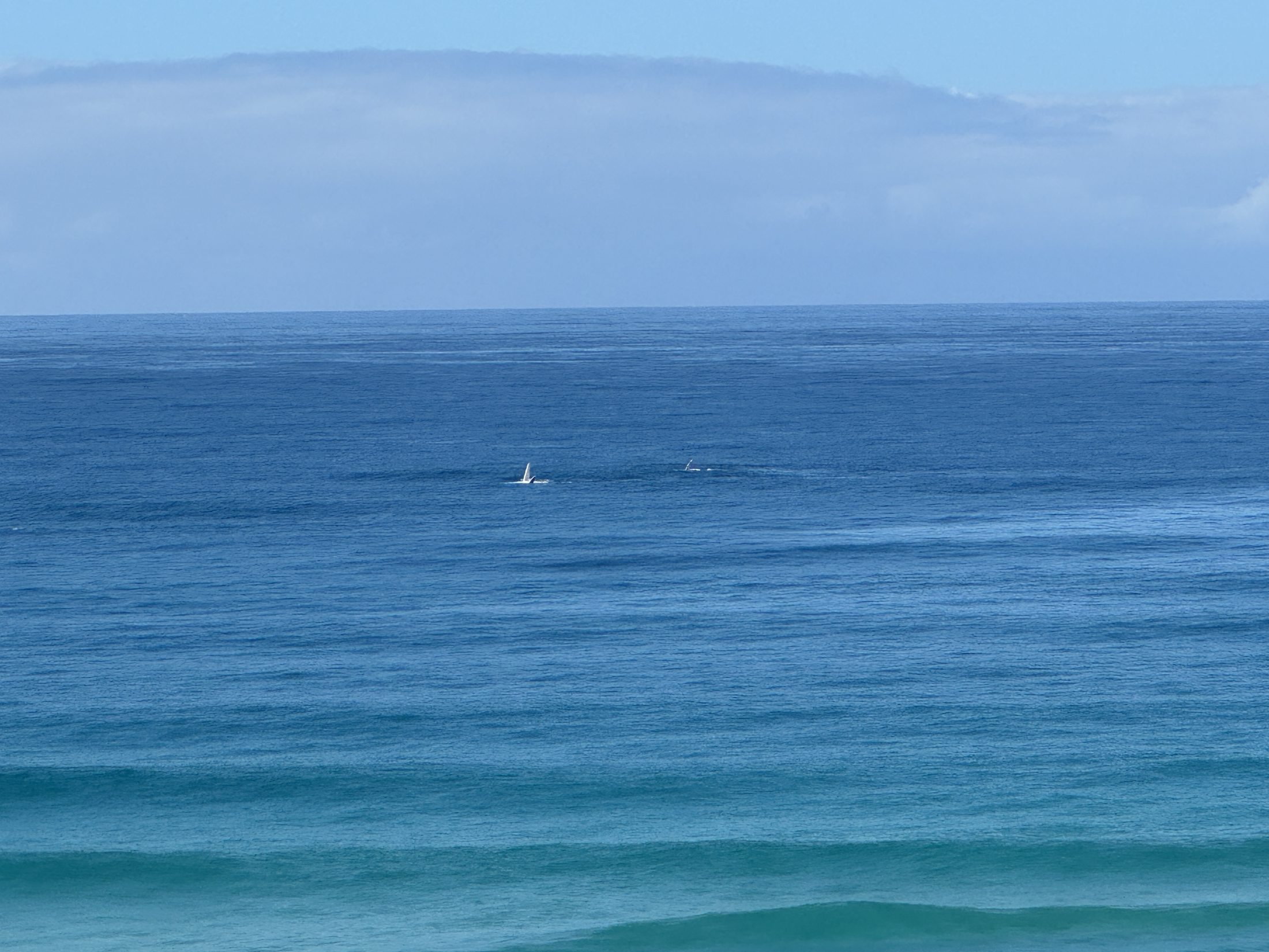 Open ocean viewed from the K'gari coast.