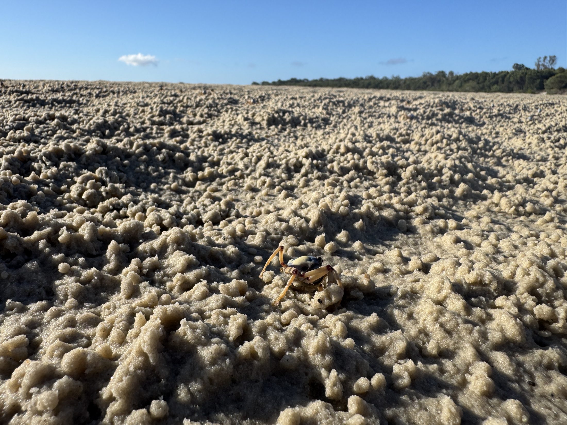 Small sand patterns and bubbles on a K'gari beach.