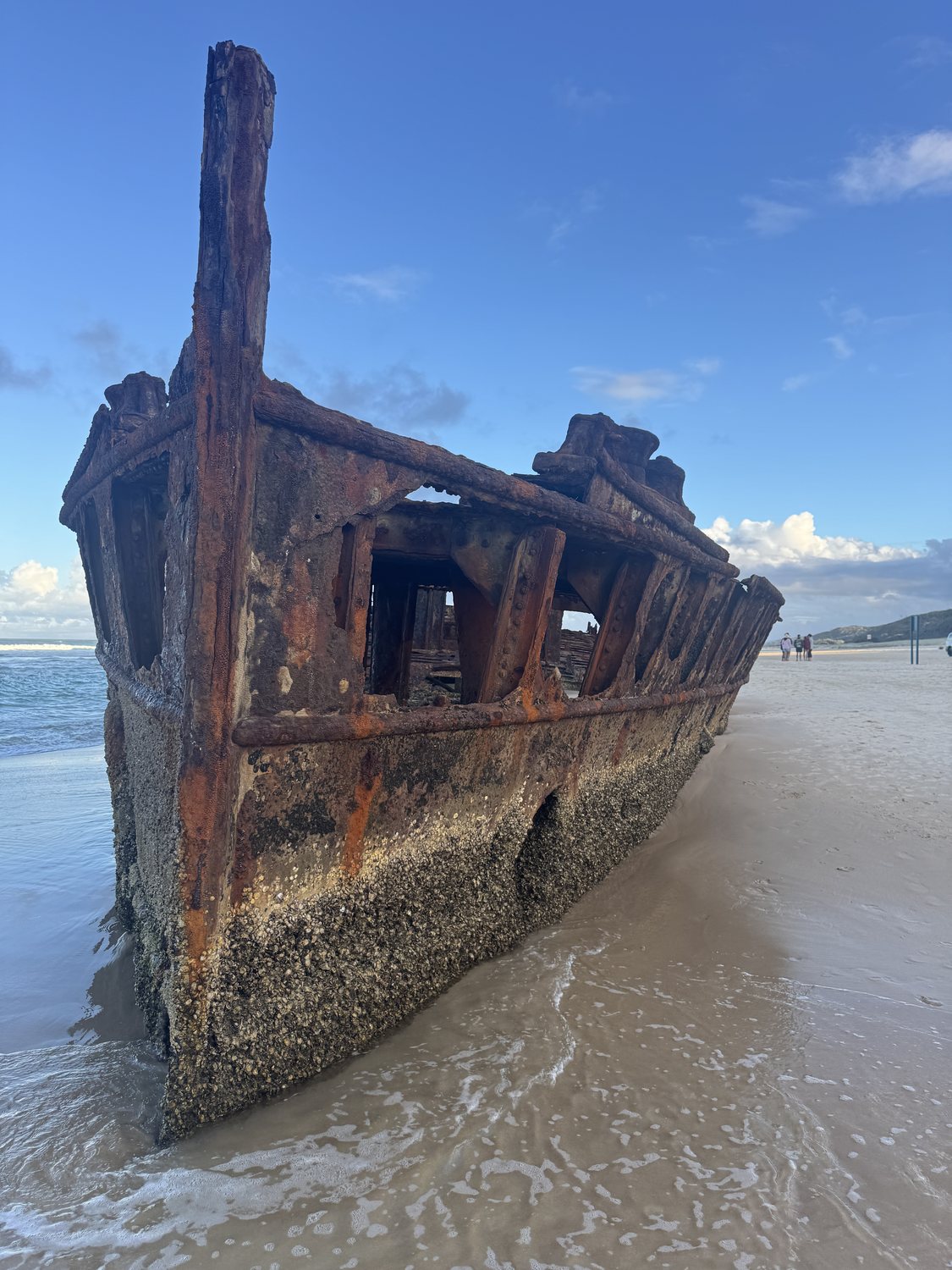 Bow of the Maheno Shipwreck on K'gari.