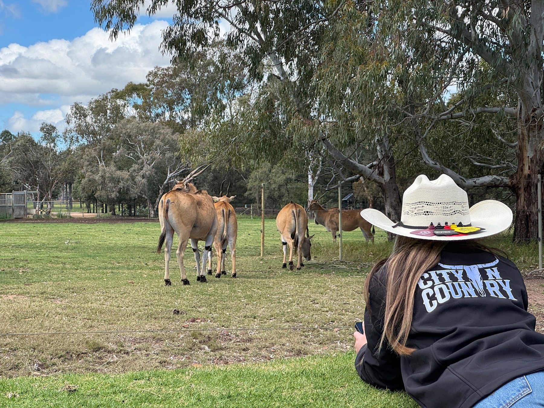 Open-range landscape at Dubbo Zoo.