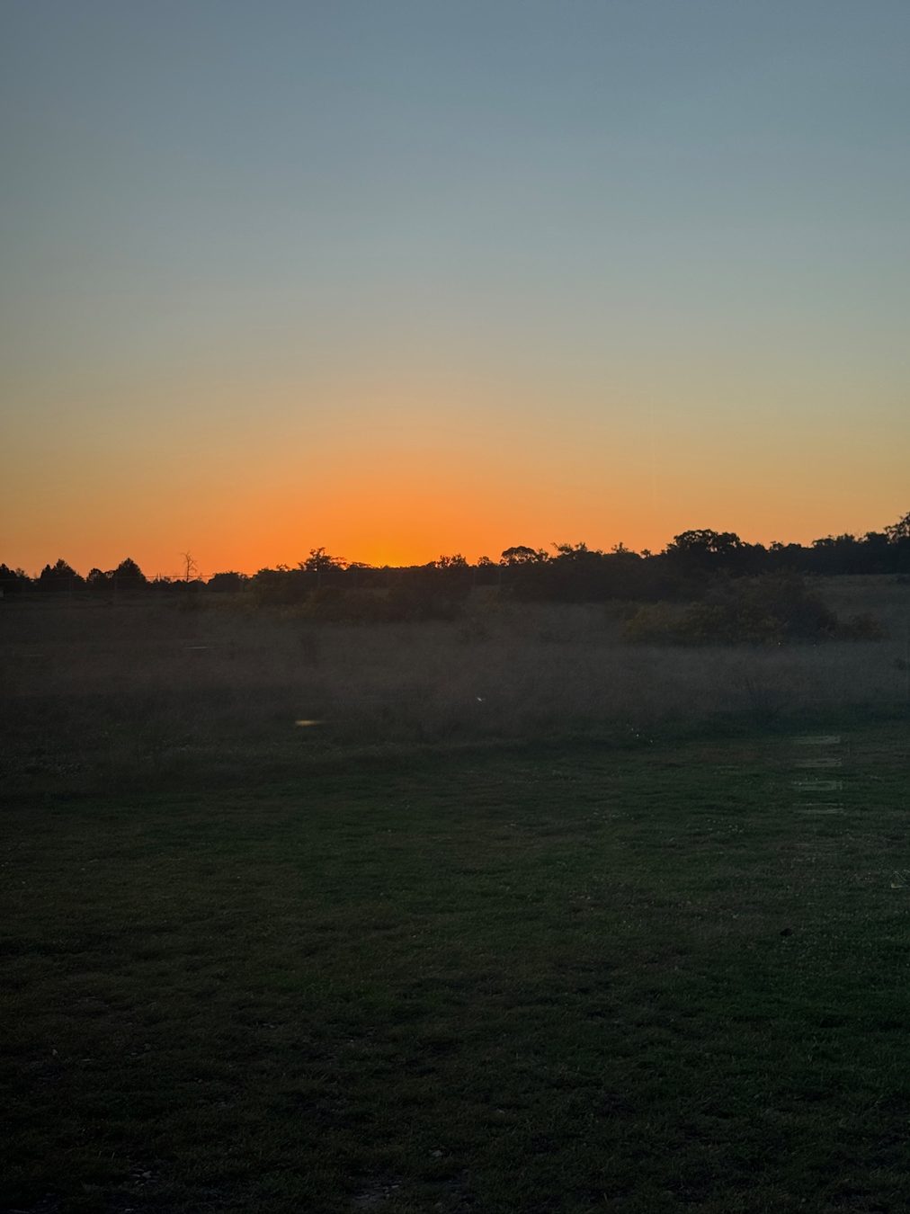 Late-day view from the Dubbo Zoo accommodation.