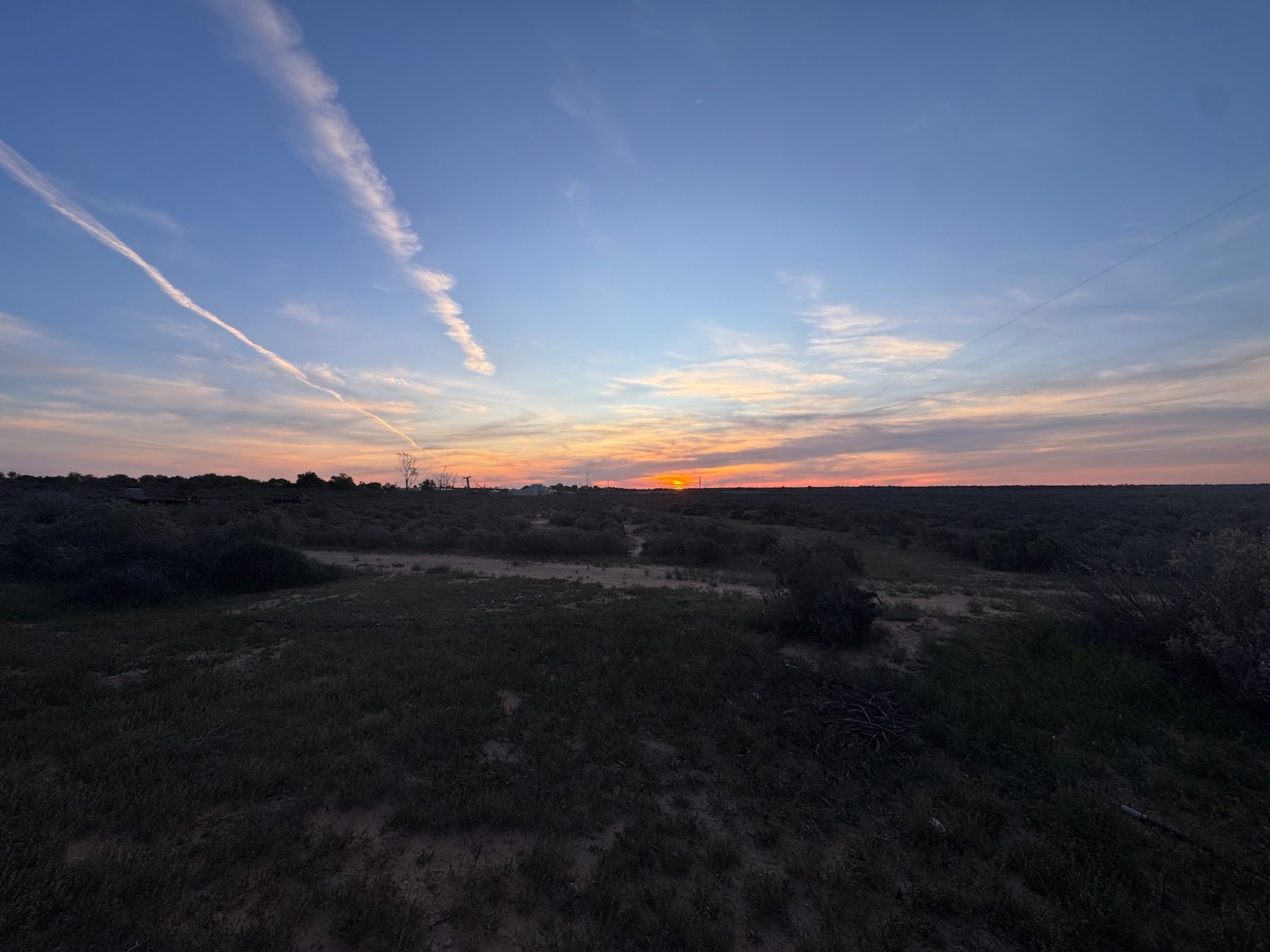 A vivid sunset over the low scrub at Mungo.