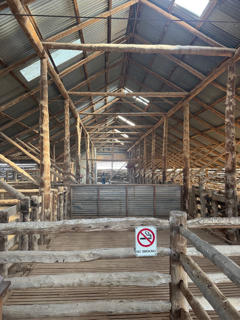 The timber interior of the historic Mungo shearing shed.